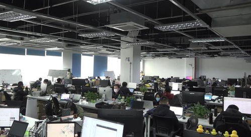 上海华献软件“刷脸啦”技术服务，以科技力量助力城市疫情防控